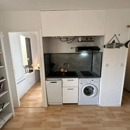 Appartamento Confortable Avec Loggia, Garage Et Acces A Le Penon - Fr-1-239-1008